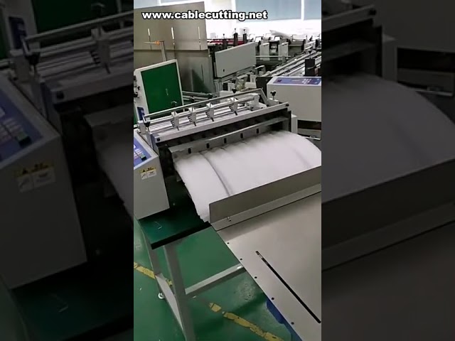 Pvc Shrink Film Cutting Machine,Plastic Packaging Film Cutting Machine,Pp Frosted Plastic Belt Cutti