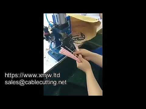 WPM 150a Multi core Wire Vertical Electric Heating Stripping Machine