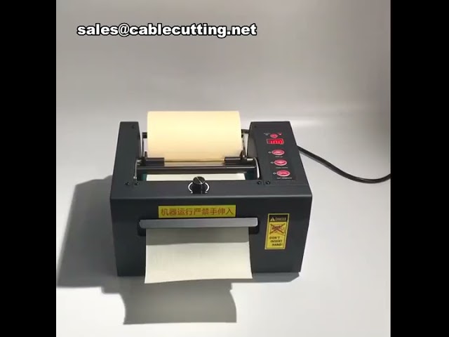 Tapedispenser, Resin Frog Tapedispenser, Tapedispenser, Dispenser