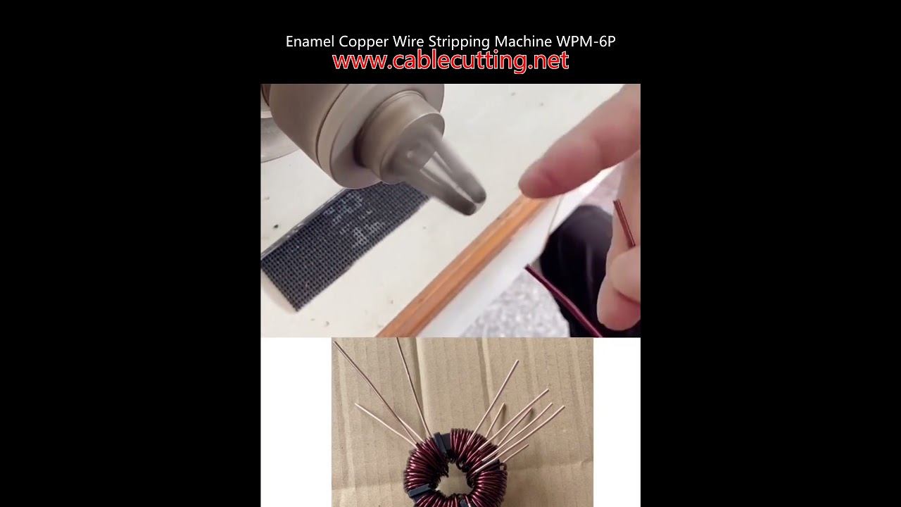Enameled Copper Wire Stripping Machine WPM-6P